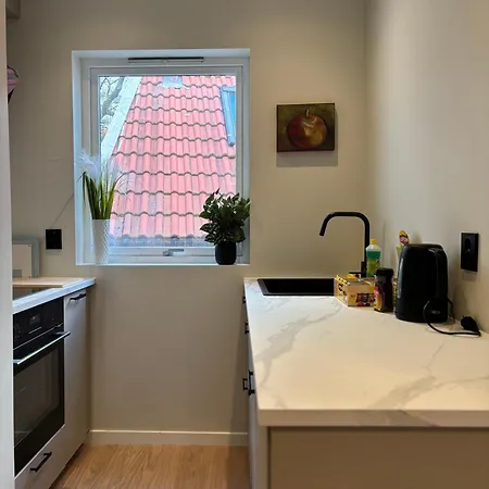 Beautiful 4 Bedroom In Sentrum Bergen